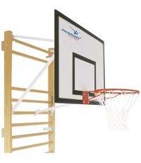 Mini-Basketball Backboard Polsport