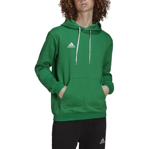 Толстовка Adidas Entrada 22 Sweat Hoodie, зеленый
