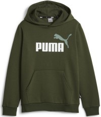 Puma Džemperis Paaugliams Ess + 2 Col Big Logo Green 586987 31