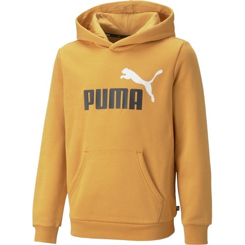Puma Džemperis Paaugliams Ess + 2 Col Big Logo Yellow 586987 30