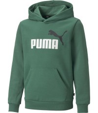 Puma Džemperis Paaugliams Ess + 2 Col Big Logo Green 586987 37