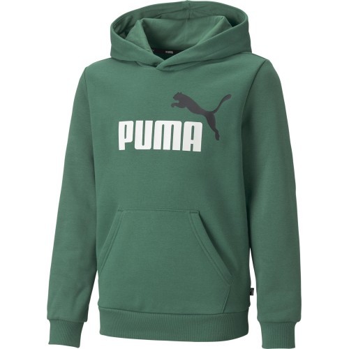 Puma Džemperis Paaugliams Ess + 2 Col Big Logo Green 586987 37