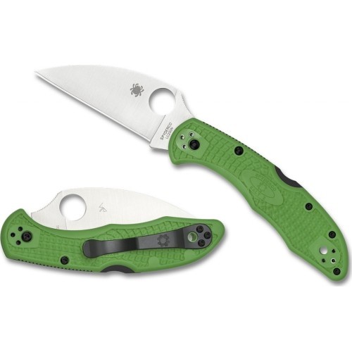 Folding Knife Spyderco C88FPWCGR2 Salt 2, Green