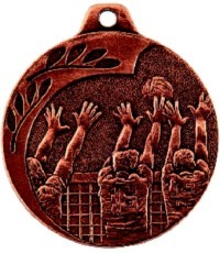 Medalis NP08 Tinklinis - Bronza