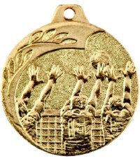 Medalis NP08 Tinklinis - Auksas