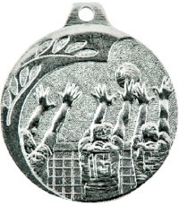 Medalis NP08 Tinklinis - Sidabras