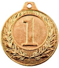 Medalis NP11 Pirma vieta - Auksas