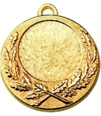Medalis Z243 - Auksas