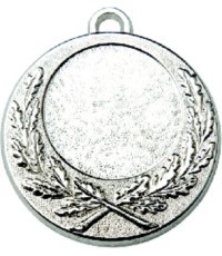 Medalis Z243 - Sidabras