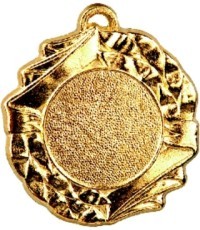 Medalis Z242 - Auksas