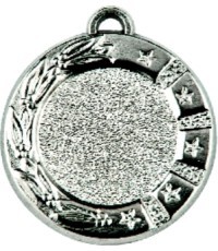 Medalis Z310 - Sidabras