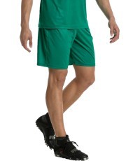 Puma Futbolo Šortai Liga Shorts Core Pepper Green