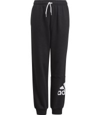 Kelnės Adidas Essentials Big Logo Pant Jr, juodos