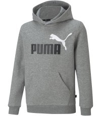 Puma Džemperis Paaugliams Ess + 2 Col Big Logo Grey 586987 03
