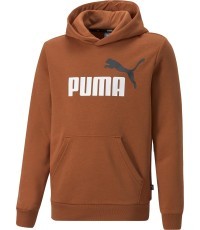 Puma Džemperis Paaugliams Ess+ 2 Col Big Logo Orange 586987 81