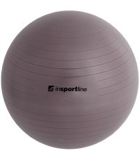 Gimnastikos kamuolys + pompa inSPORTline Top Ball 55 cm - Pilka