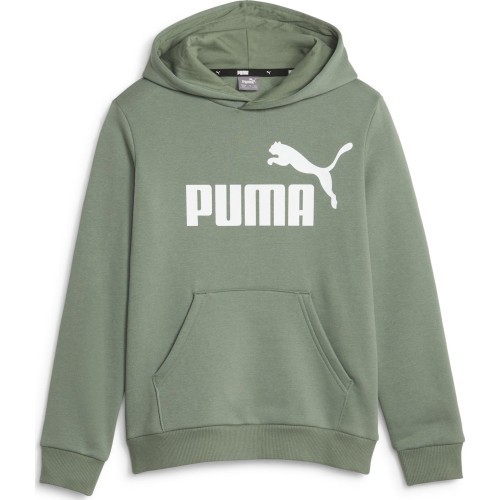 Puma Džemperis Paaugliams Ess Big Logo Hoodie Green 586965 45