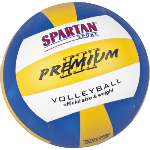 Волейбольный мяч Spartan Indoor