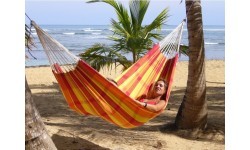 Hammock Amazonas Barbados Papaya