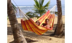 Hammock Amazonas Barbados Papaya