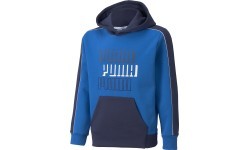 Толстовка для подростков Puma Alpha Hoodie FL Blue 589275 63