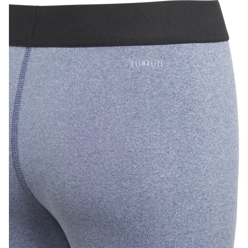 Adidas legingi pusaudžiem YG Branded Tight pelēki CF7197