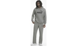 Puma vīriešu džemperis Ess Big Logo Hoodie Grey 586688 03