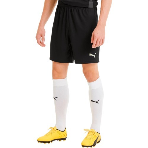 Мужские футбольные шорты Puma TeamGoal 23 Knit, чёрные, 704262 03