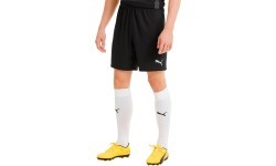Puma TeamGoal 23 Knit Men's Football Shorts Black 704262 03