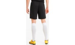 Мужские футбольные шорты Puma TeamGoal 23 Knit, чёрные, 704262 03