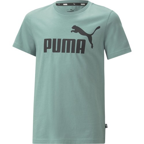 Puma Ess Logo Tee pusaudžu T-krekls, zaļš 586960 84
