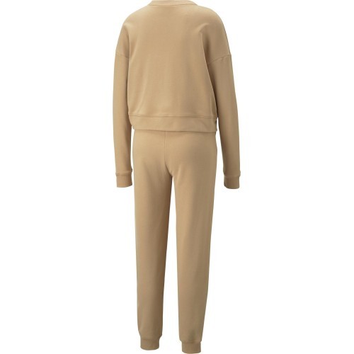 Puma Loungewear Suit Women's Tracksuit Brown 673702 89