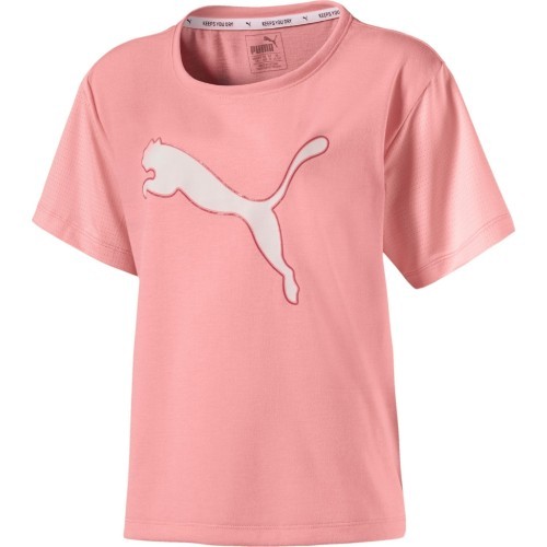 Puma pusaudžu krekls Softsport Graphic Tee Soft Pink 516242 28