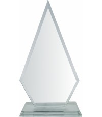 Стекло ST2203 - 21cm