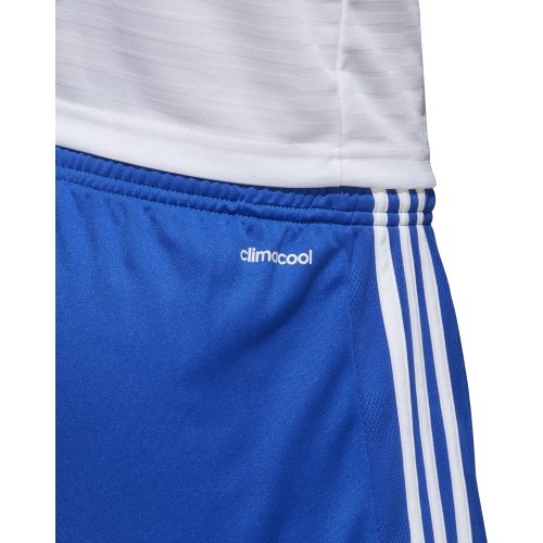 Adidas Tastigo17 football shorts, blue