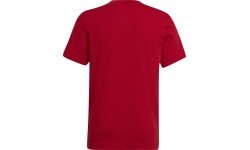 Adidas T-krekls pusaudžiem Ent22 Tee Y Red HC0446