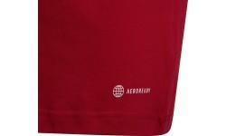 Adidas Teen T-Shirt Ent22 Tee Y Red HC0446