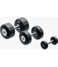 Hanteliai su fiksuota rankena Eleiko Evo - Set 12-40 Kg