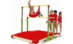 Pull Up Bar GYMNOVA, mini
