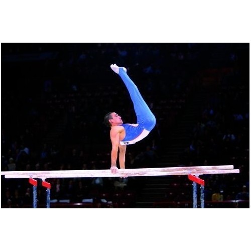 Брусья GYMNOVA FIG для соревнований