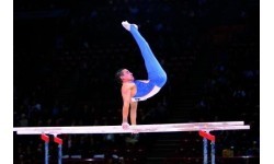Брусья GYMNOVA FIG для соревнований