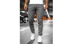 Мужские брюки J.Style Grey 68XW01-5