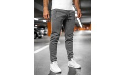 J.Style vīriešu bikses Grey 68XW01-5