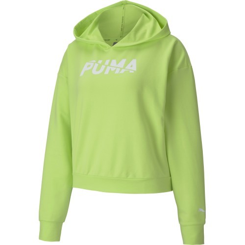 Puma sieviešu džemperis Modern Sports Hoodie Sharp Green 583540 34