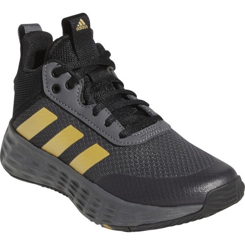 Adidas Ownthegame 2.0 K Grey junior basketball shoes GZ3381