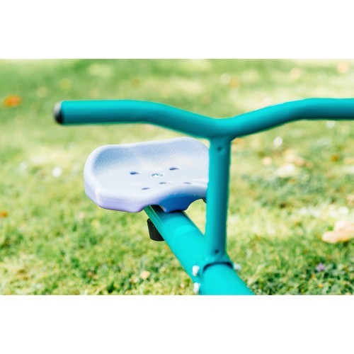 Rotating Seesaw Plum, Turqoise