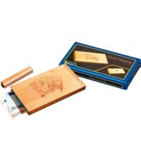 Головоломка Philos Money Safe, 20,5x11x2 см