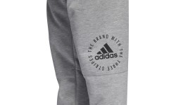 Adidas Sid Pants vīriešu bikses, pelēkas DQ1472