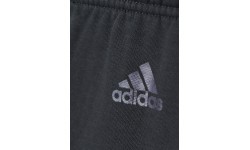 Подростковые брюки Adidas YB LR B SWT PT AJ5637