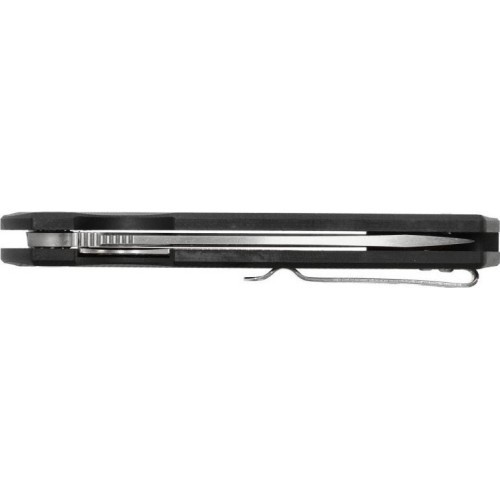 Folding Knife Ganzo Firebird FH11-BK